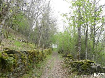 Sierra de Caurel-Viaje Semana Santa;senderismo con niños alpujarras granada las presillas rascafria 